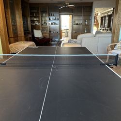 Prince ping pong Table