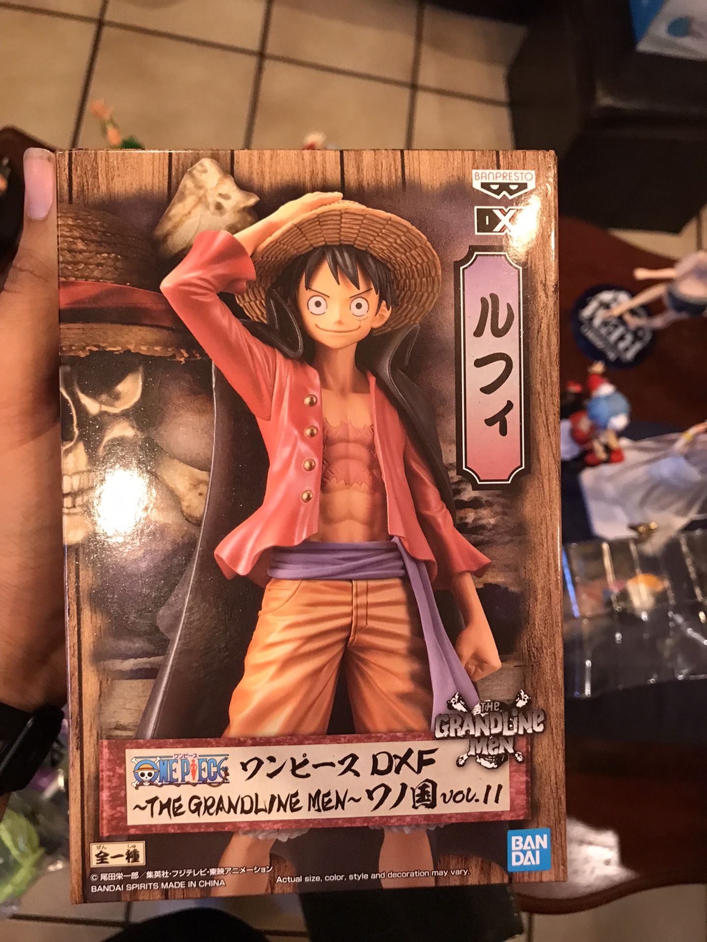 The Grand line Men Luffy