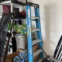 Ladder - Werner 6 ft 