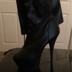 Pleasers Leather Thigh Heel Boots 