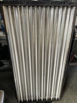 T5 Grow Lights