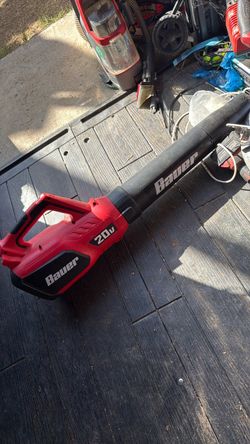 Leaf blower