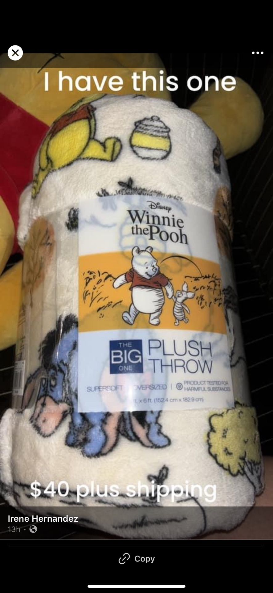Winnie The Pooh plush Throw Blanket