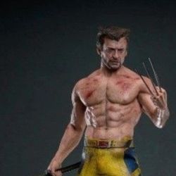 Hot Toys 🔥  Wolverine TVA