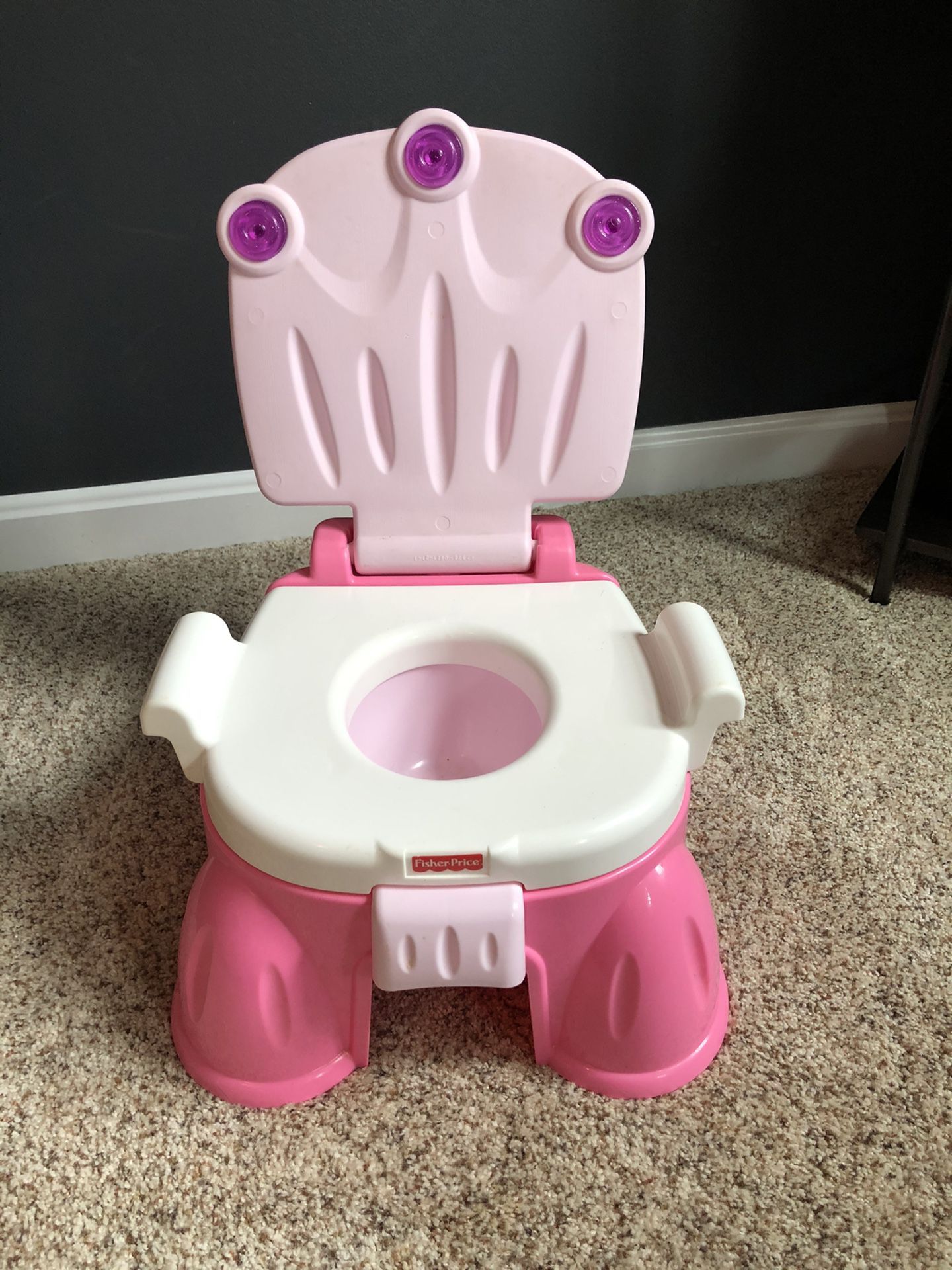 Fisher Price Princess Potty, First Years Tub, Bright Starts Bouncer