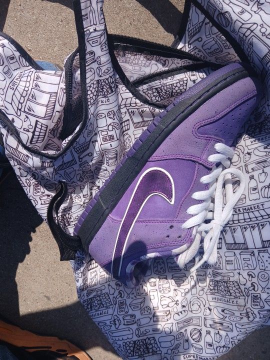 NIKE SB DUNKS Purple Lobster Concepts