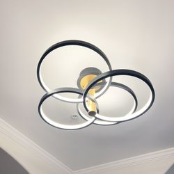 Entry Way Light Fixture 