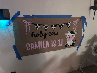 Custom hand painted banners