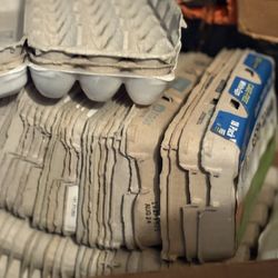 Box Of Egg Cartons