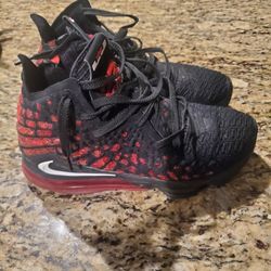 Nike Lebron 17 (Men's Size 9)