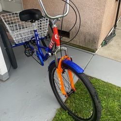 3 Wheels Adult Bike