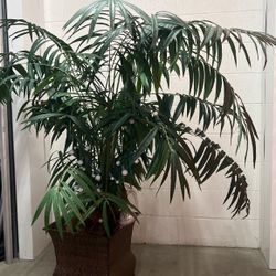 🌿 Artificial Palm Plant – $50 OBO