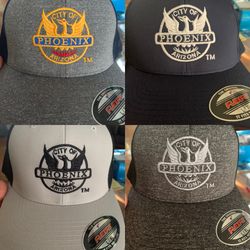 City of Phoenix flexfit
