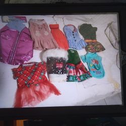 SMALL DOG CLOTHES $3 EACH