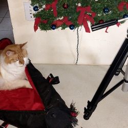 Ensign Master Tripod