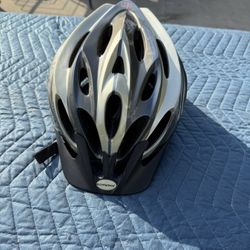 Schwinn Bicycle Helmet
