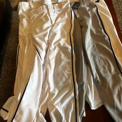 BASEBALL PANTS