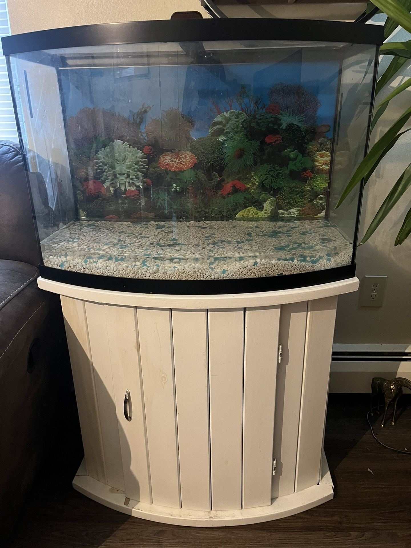 Fish Tank 