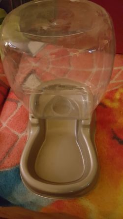 Big dogs water bowl