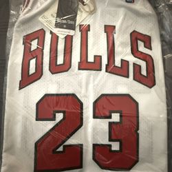 Brand New Large Mitchell & Ness Authentic Jersey Chicago Bulls 1995-96 Michael Jordan