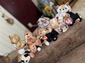 Beanie babies
