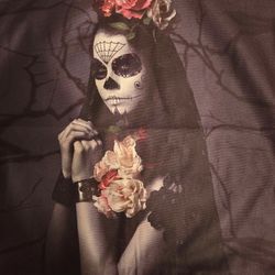 Skull Art Pillowcase (17”X17”)