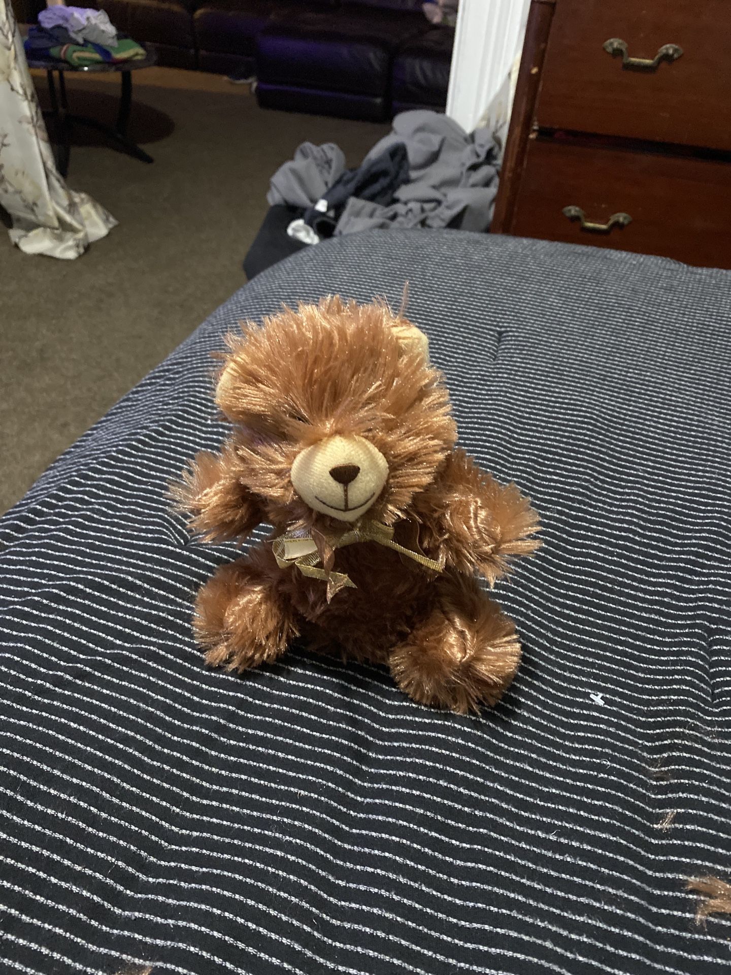 Stash Bear 