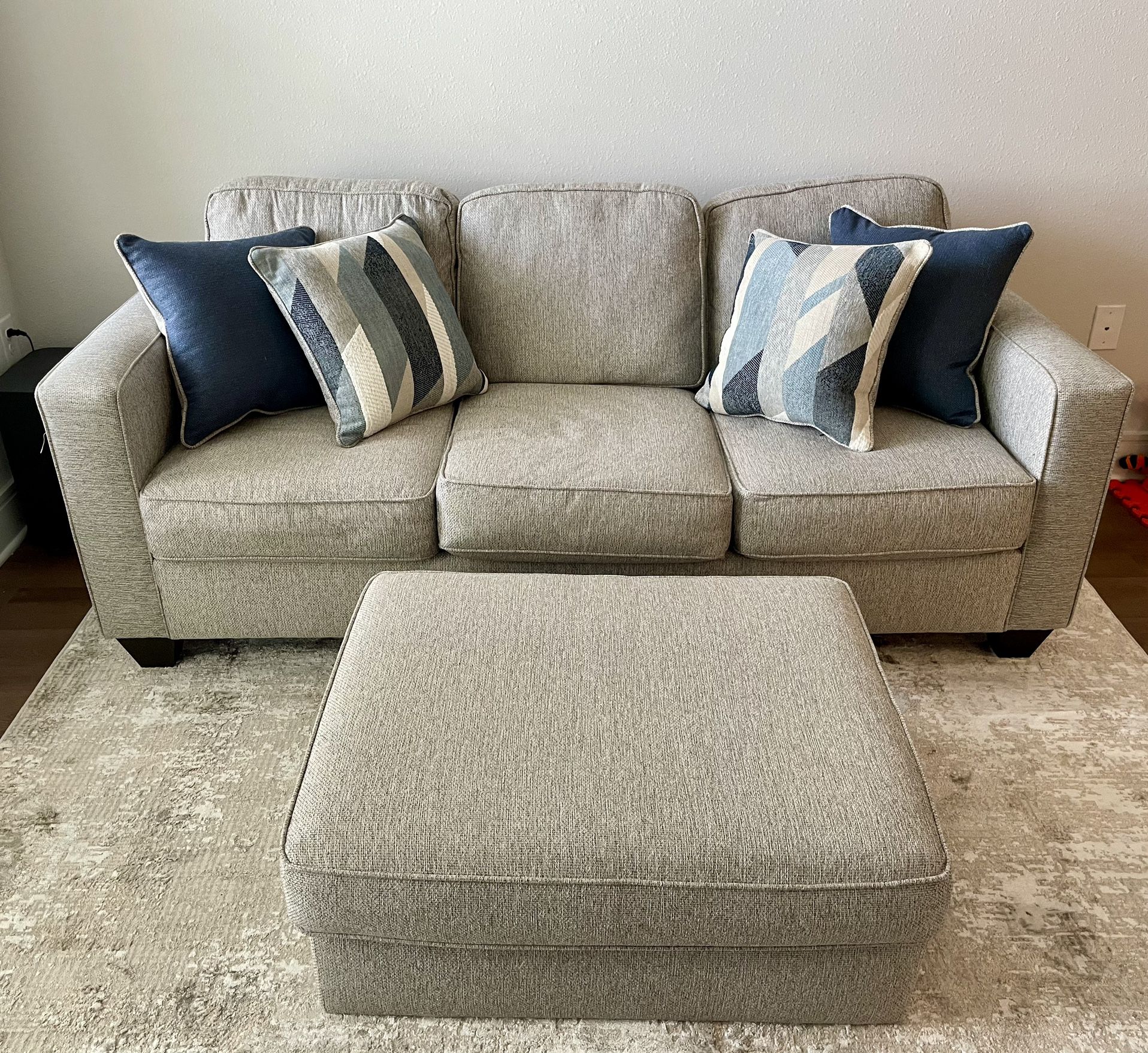 Light Gray Couch 