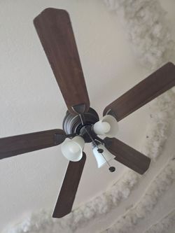 Ceiling Fan