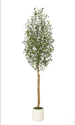 7ft Tall Faux Silk Plant White Planter, Fake Olive Trees with Natural Wood Trunk