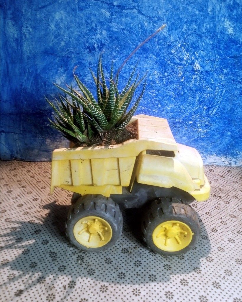 Toy Truck Live Artistic Pot ,Haworthiopsis Fasciata, 
