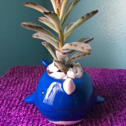 Narwhal & rhino succulent figurine