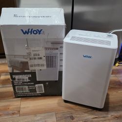 Dehumidifier for Home, 