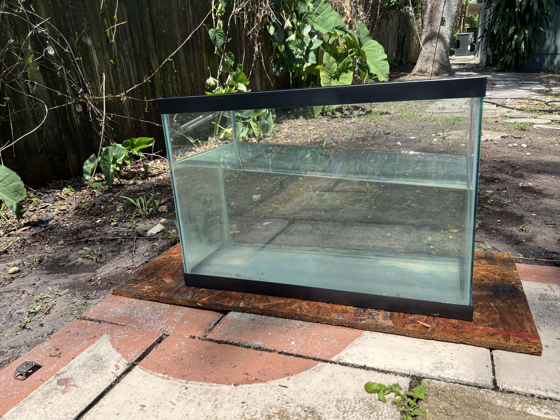 20 Gallon Fish Tank