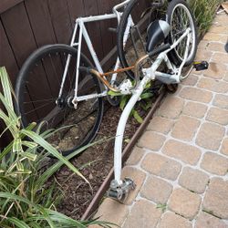 Wee Ride Co Pilot Tow Behind Bike 