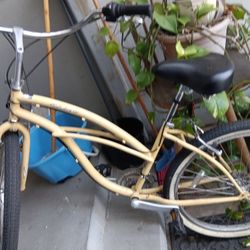 Brand New Beach Cruiser 