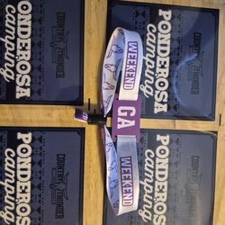 Camping  or All Weekend Overnight Parking Pass Country Thunder