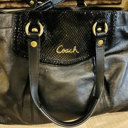 Coach Leather 