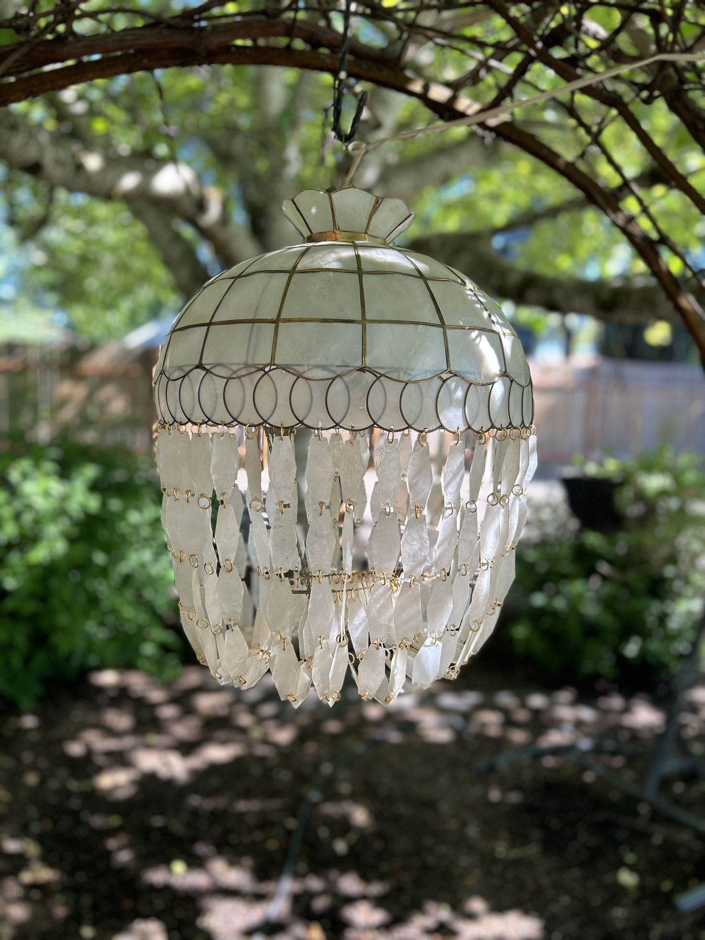 Vintage Mid Century Capiz Shell Chandelier ~ Plugs In