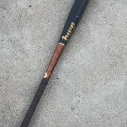 Bwp Wood Baseball Bat 