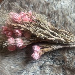 Pink dry flowers