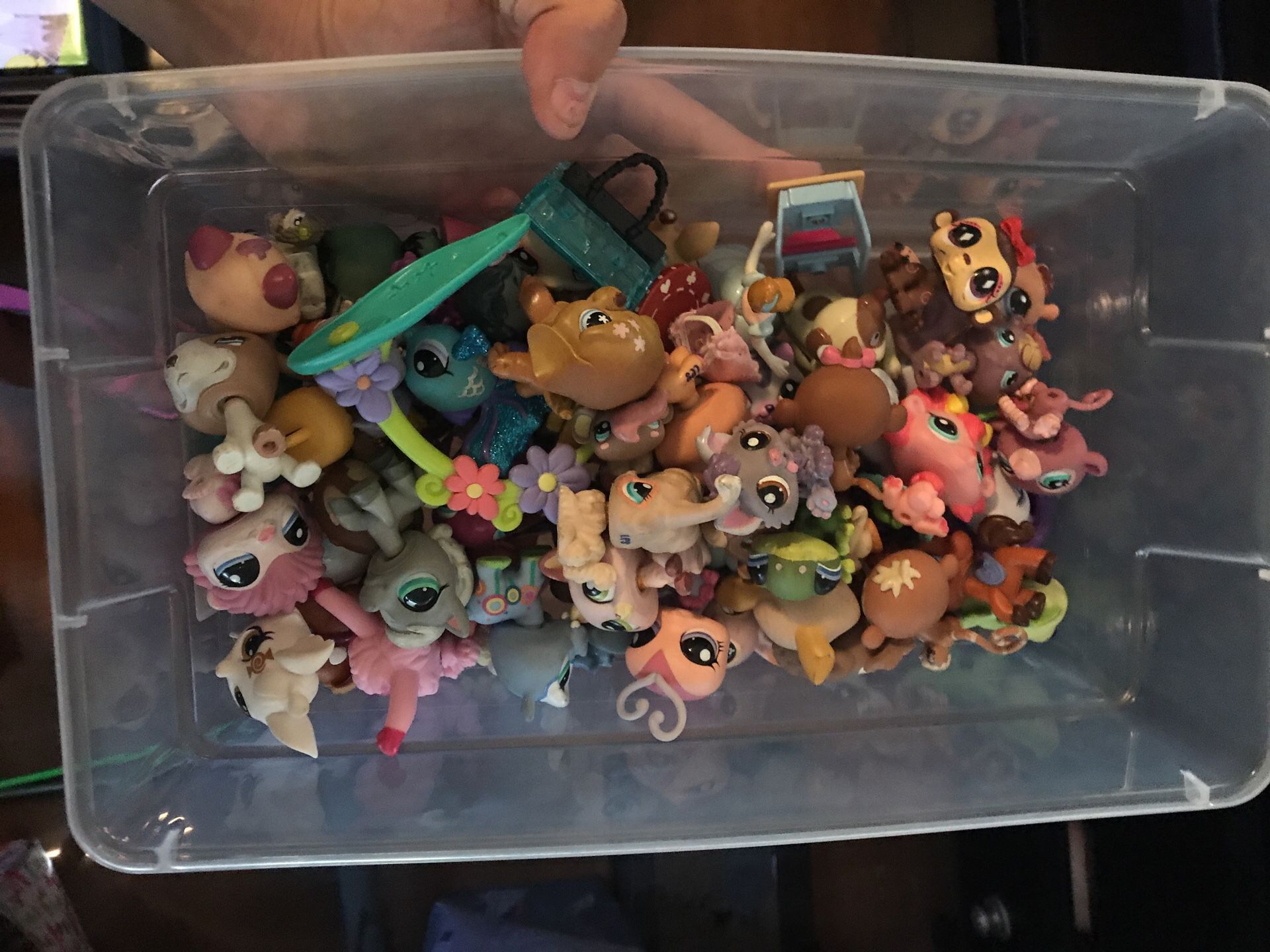 LPS littlest pet shop LOT