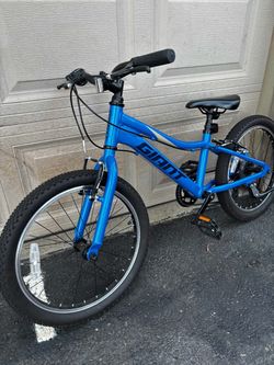 Giant xtc jr 20”