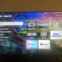 4K 55” Mini-LED Roku TV