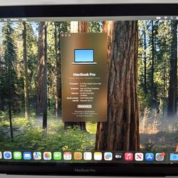 Macbook Pro  2018 13 in 16 gb