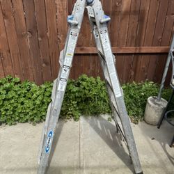 5 In 1 Ladders (extendable) 