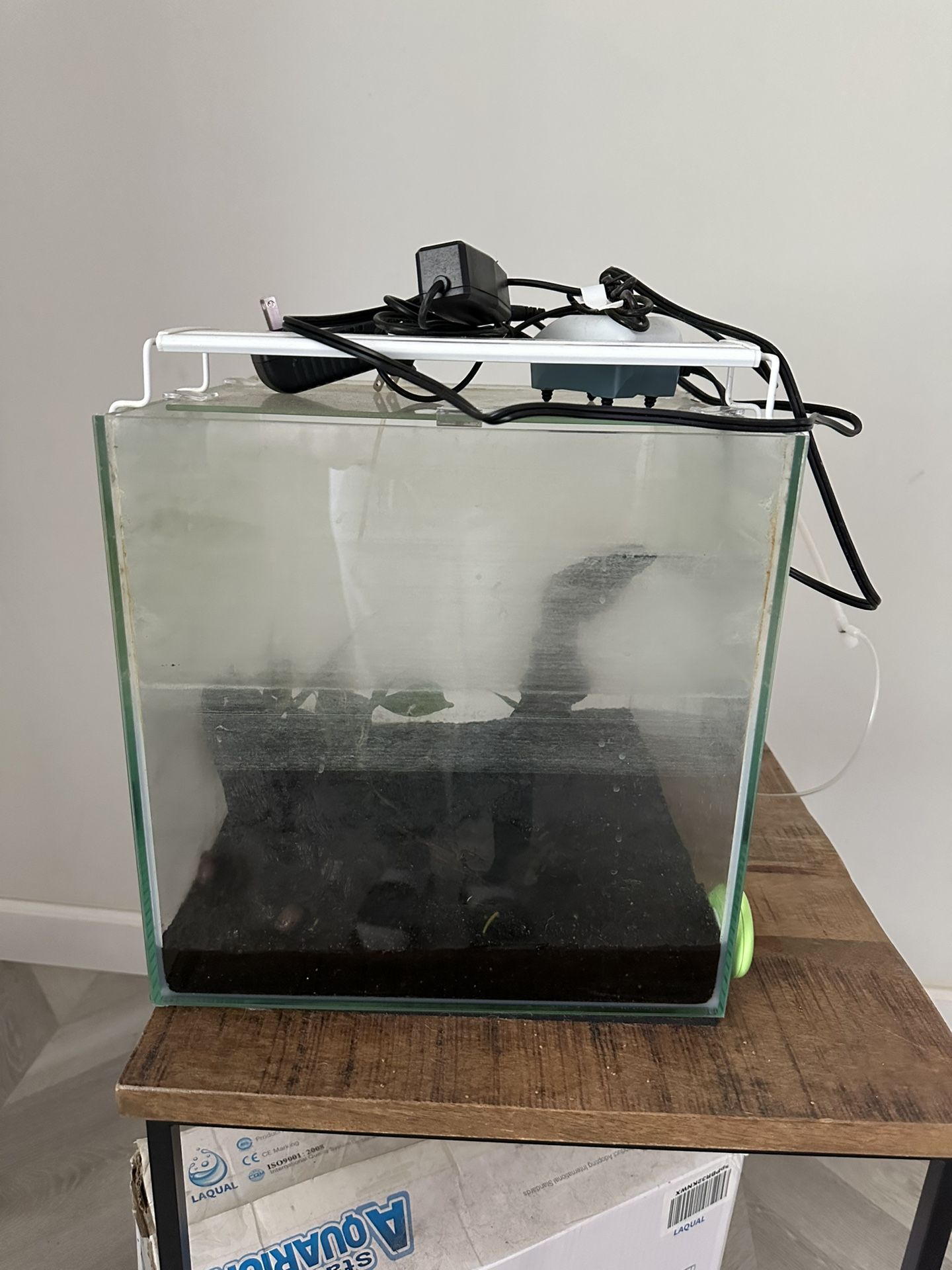 Fish Tanks / Aquarium 