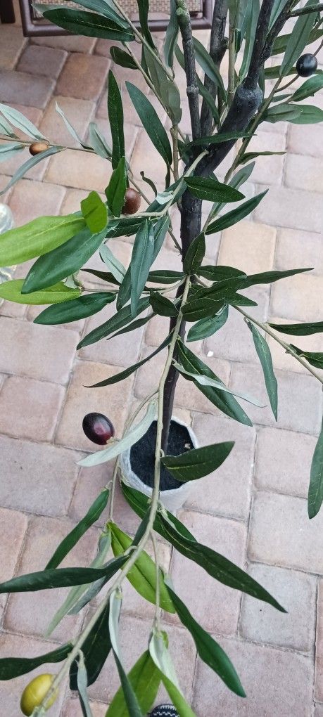 2 OLIVE FAKE PLANTS