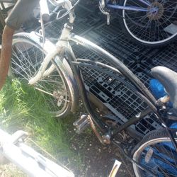 Schwinn Beach Cruiser