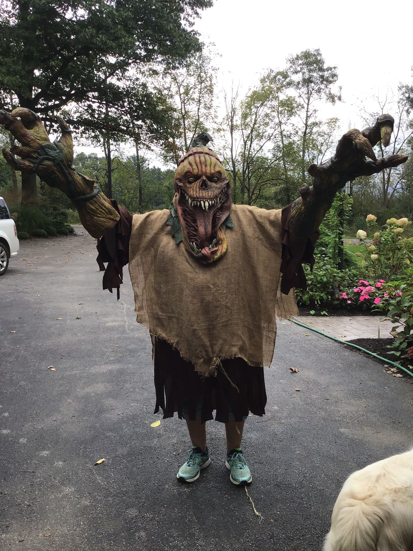 Bad seed reacher creature